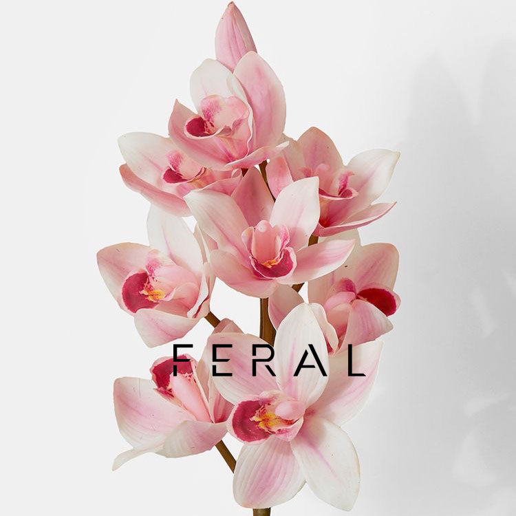 FERAL Gift Guide, V-Day Edition